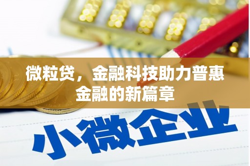 正宁微粒贷，金融科技助力普惠金融的新篇章