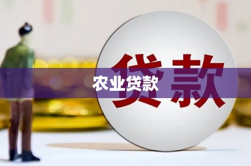 双滦农业贷款
