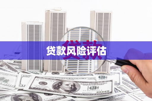 云和贷款风险评估