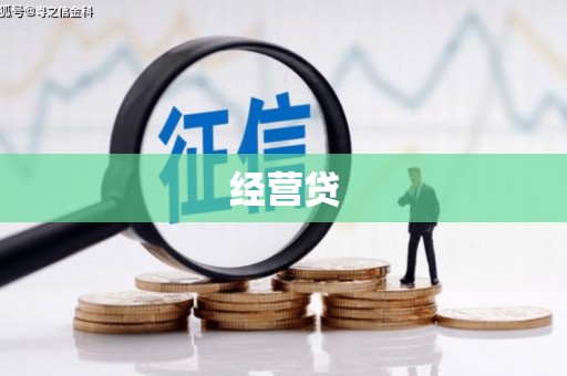 盖州经营贷