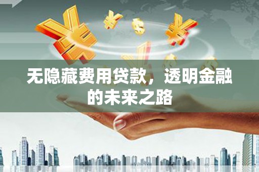 港南无隐藏费用贷款，透明金融的未来之路