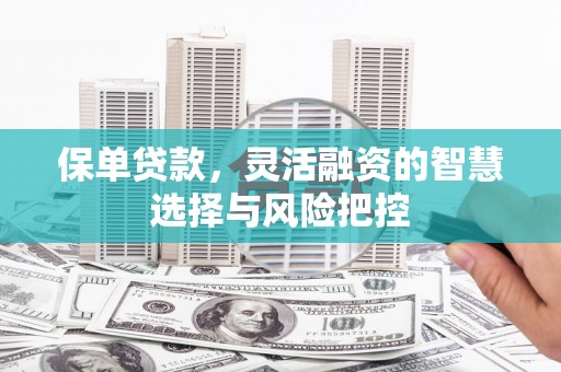 松原保单贷款，灵活融资的智慧选择与风险把控