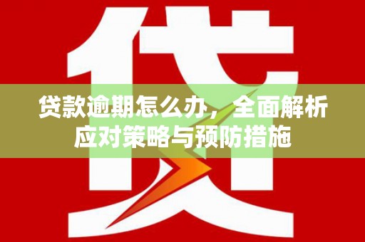 高要贷款逾期怎么办，全面解析应对策略与预防措施