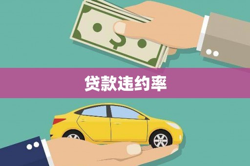 泌阳贷款违约率