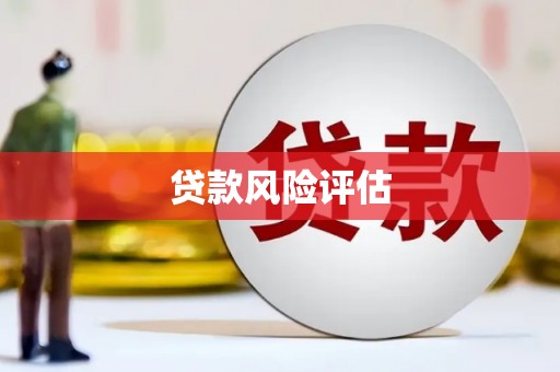 龙游贷款风险评估