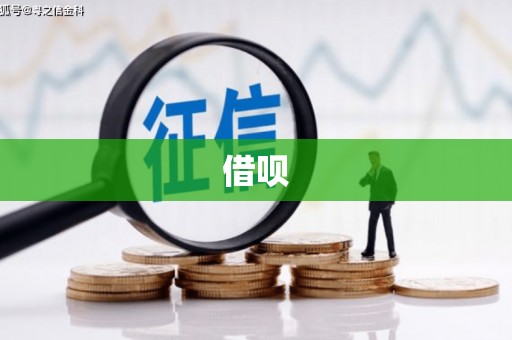 华宁借呗