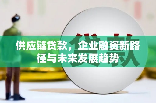 仙游供应链贷款，企业融资新路径与未来发展趋势