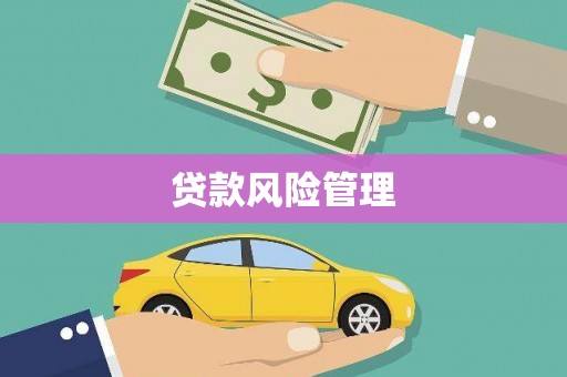 红星贷款风险管理