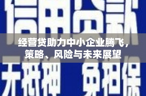 资兴经营贷助力中小企业腾飞，策略、风险与未来展望