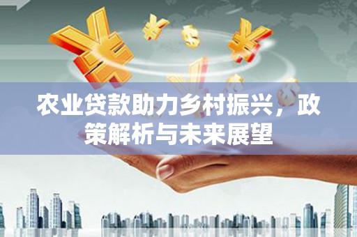 彰化市农业贷款助力乡村振兴，政策解析与未来展望