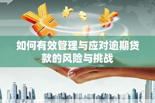 嘉黎如何有效管理与应对逾期贷款的风险与挑战