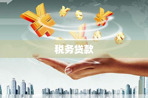 武隆税务贷款