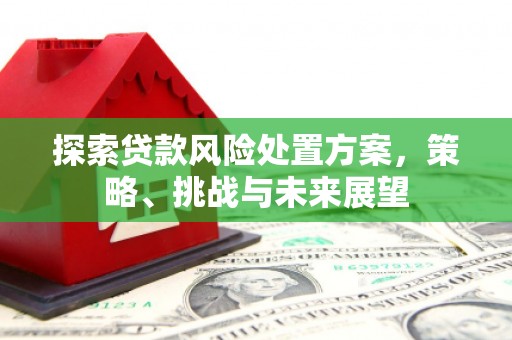 墨江探索贷款风险处置方案，策略、挑战与未来展望