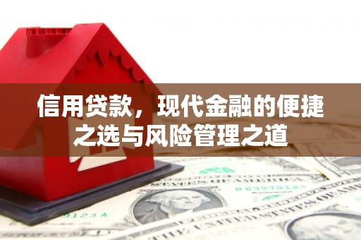 林甸信用贷款，现代金融的便捷之选与风险管理之道