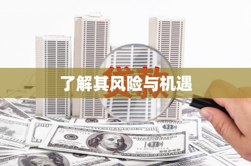 纳溪了解其风险与机遇