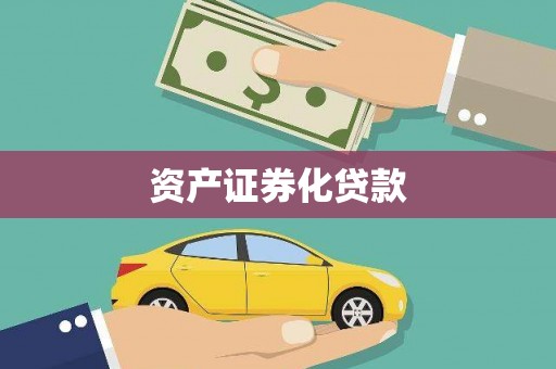 镇坪资产证券化贷款