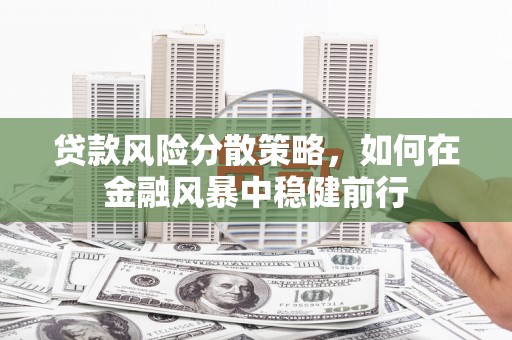 长洲贷款风险分散策略，如何在金融风暴中稳健前行