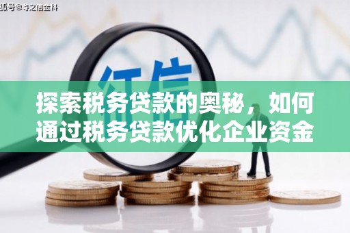 芦淞探索税务贷款的奥秘，如何通过税务贷款优化企业资金流