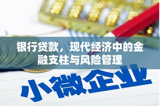 连山银行贷款，现代经济中的金融支柱与风险管理