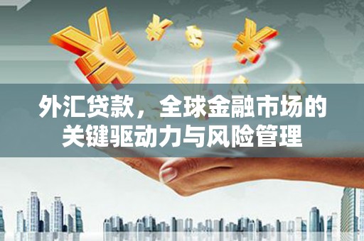 沛县外汇贷款，全球金融市场的关键驱动力与风险管理