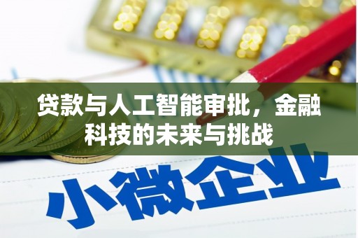 当涂贷款与人工智能审批，金融科技的未来与挑战