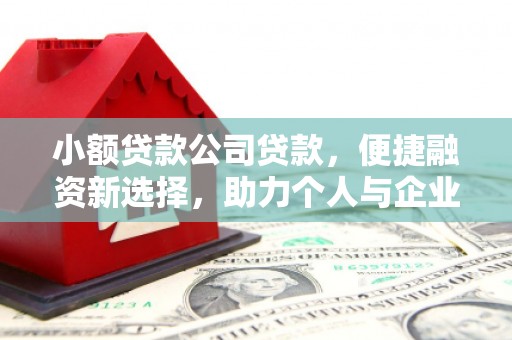 光明新区小额贷款公司贷款，便捷融资新选择，助力个人与企业成长