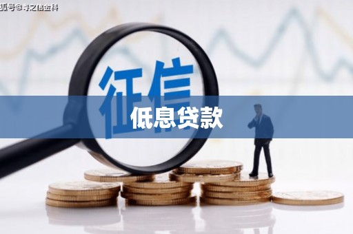 洋县低息贷款