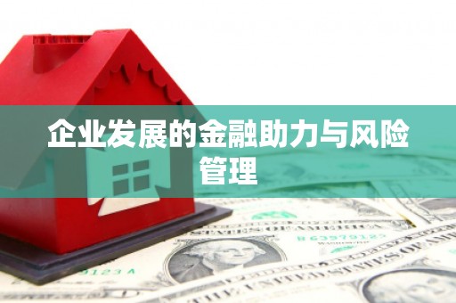 长寿企业发展的金融助力与风险管理