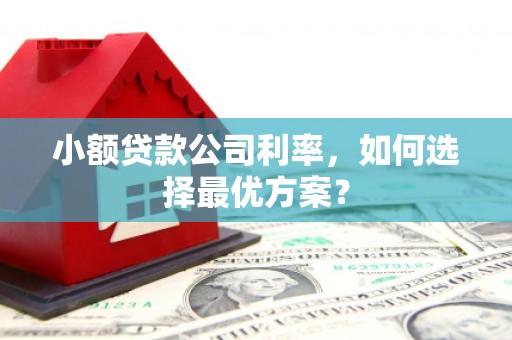 福田小额贷款公司利率，如何选择最优方案？
