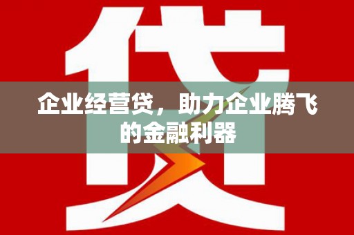 隆阳企业经营贷，助力企业腾飞的金融利器