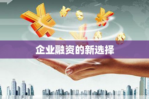 巴中企业融资的新选择