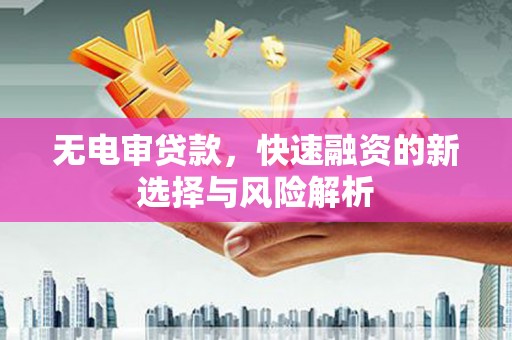 芦洲无电审贷款，快速融资的新选择与风险解析