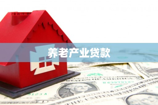 岱岳养老产业贷款