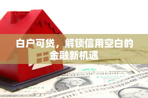 龙口白户可贷，解锁信用空白的金融新机遇
