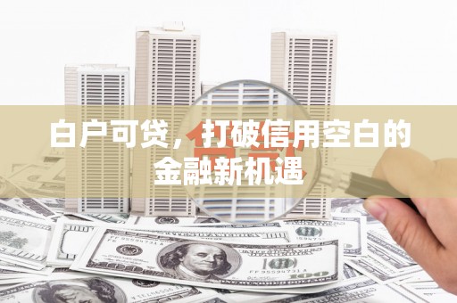 营口白户可贷，打破信用空白的金融新机遇