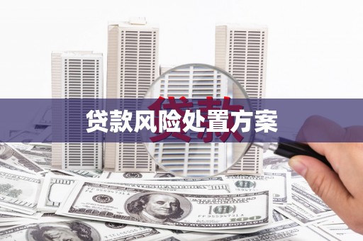 望奎贷款风险处置方案