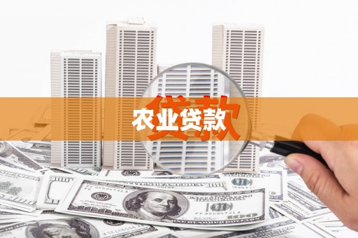 鄱阳农业贷款