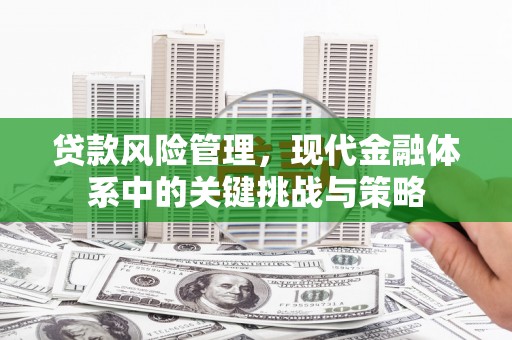 汉南贷款风险管理，现代金融体系中的关键挑战与策略
