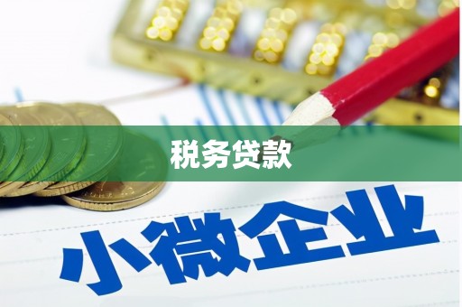 水上税务贷款