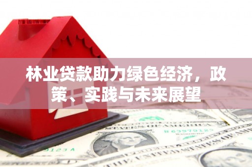 苍南林业贷款助力绿色经济，政策、实践与未来展望