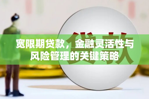 柳营宽限期贷款，金融灵活性与风险管理的关键策略