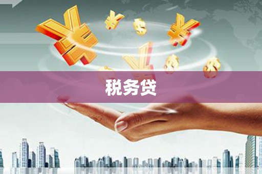 罗平税务贷