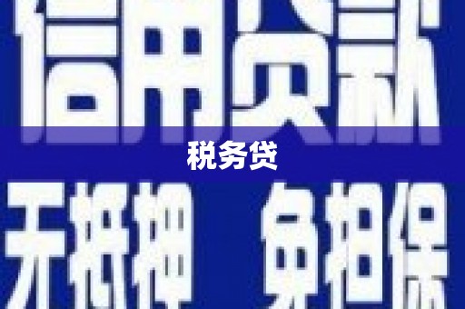 顺城税务贷