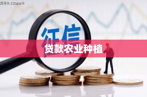 观塘贷款农业种植
