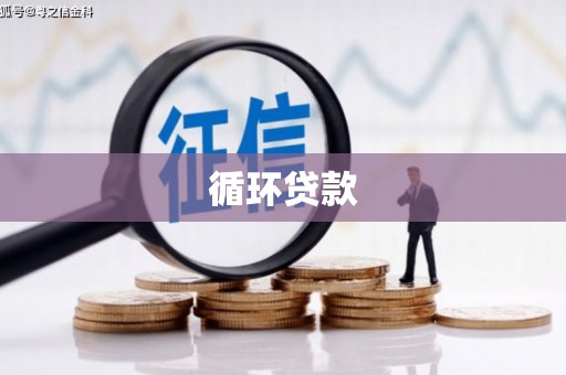 昌宁循环贷款