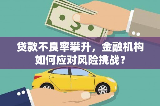 任县贷款不良率攀升，金融机构如何应对风险挑战？