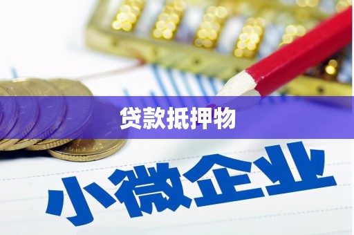 永清贷款抵押物
