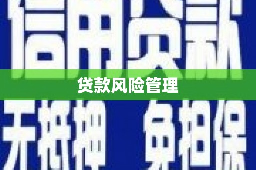 嘉模堂区贷款风险管理