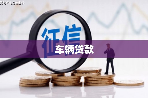 镇巴车辆贷款