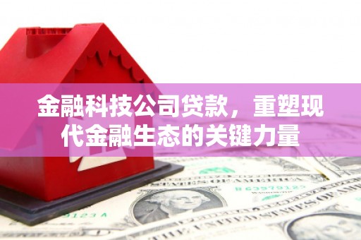 椒江金融科技公司贷款，重塑现代金融生态的关键力量